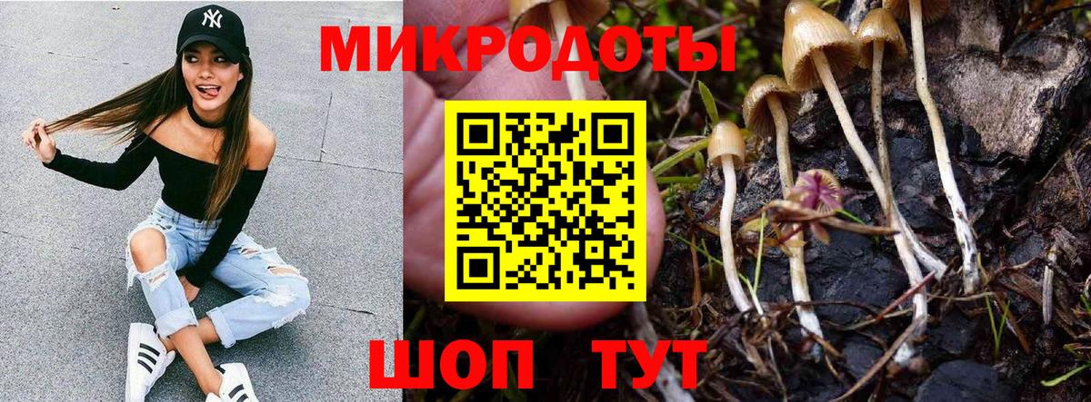 Галлюциногенные грибы Psilocybine cubensis  Вход с VPN  Дербент  Псилоцибиновые грибы мицелий 